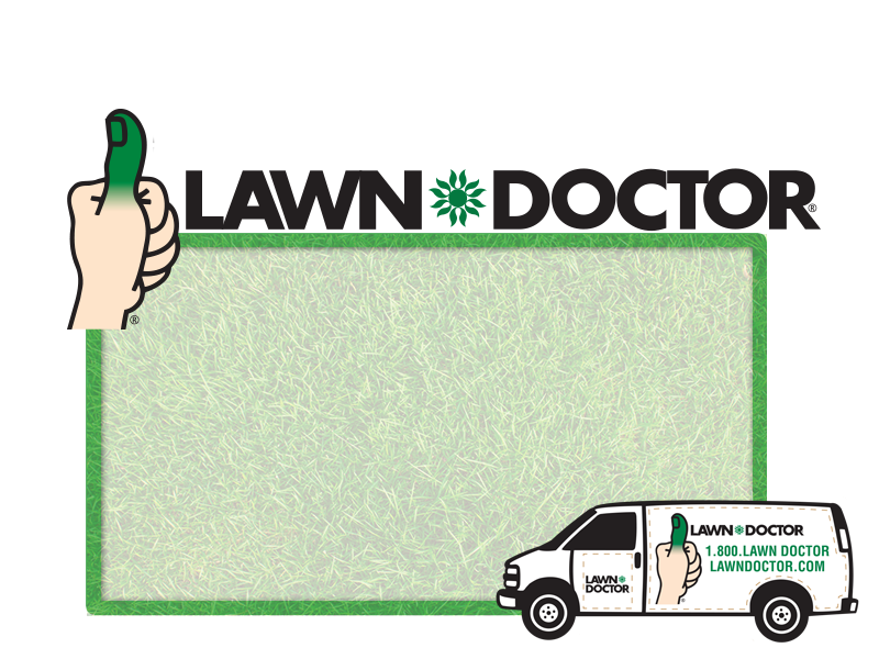 Lawn Doctor